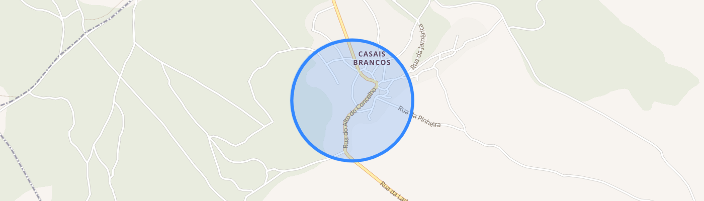 listing-map-picture