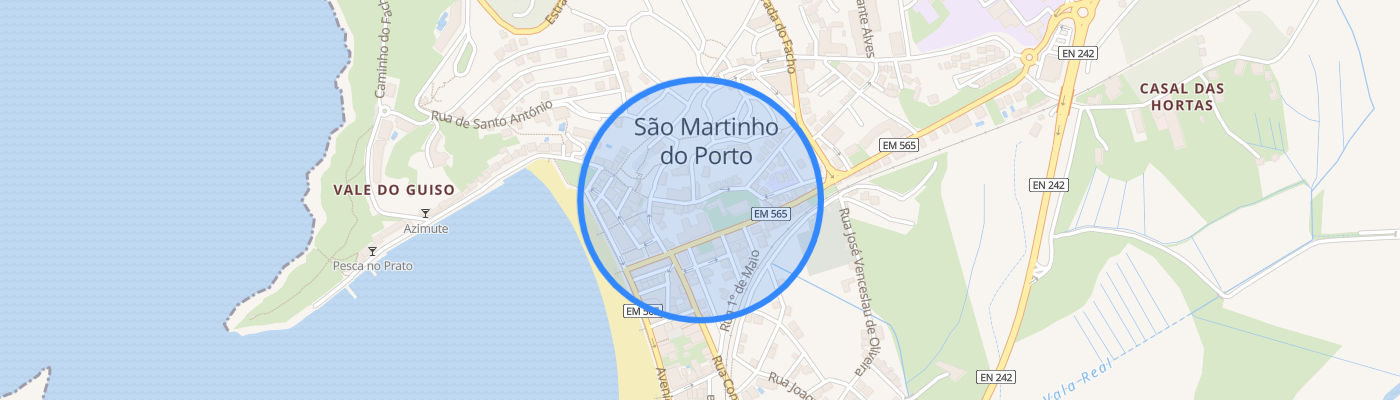 listing-map-picture