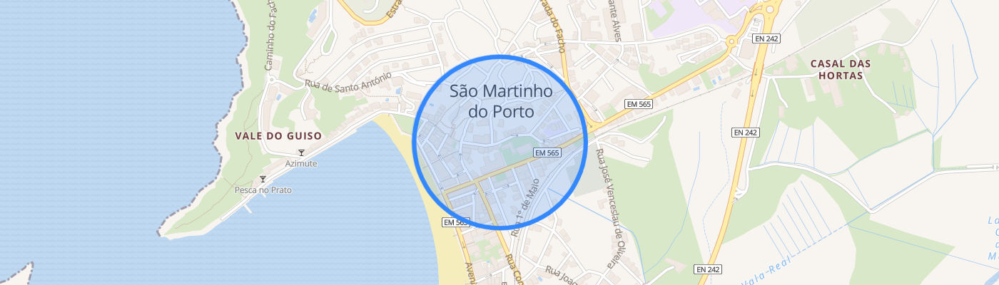 listing-map-picture