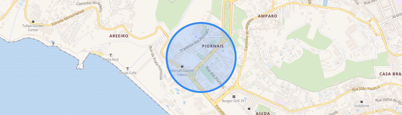 listing-map-picture