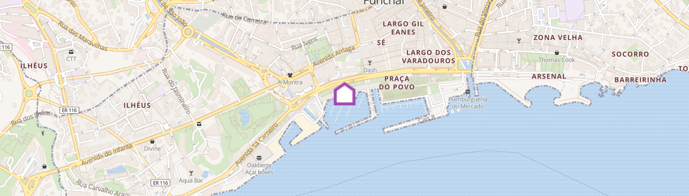 listing-map-picture