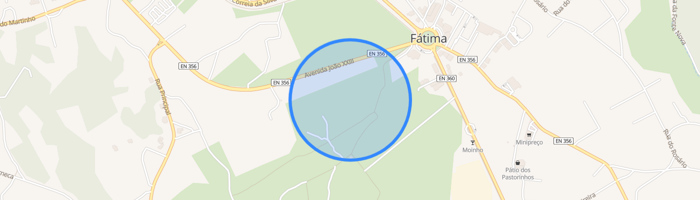 listing-map-picture