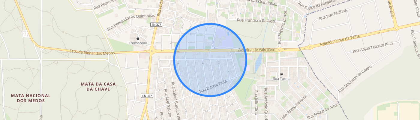 listing-map-picture