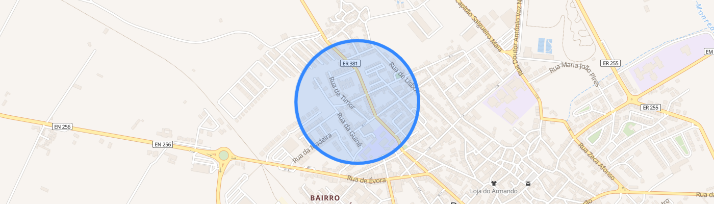 listing-map-picture