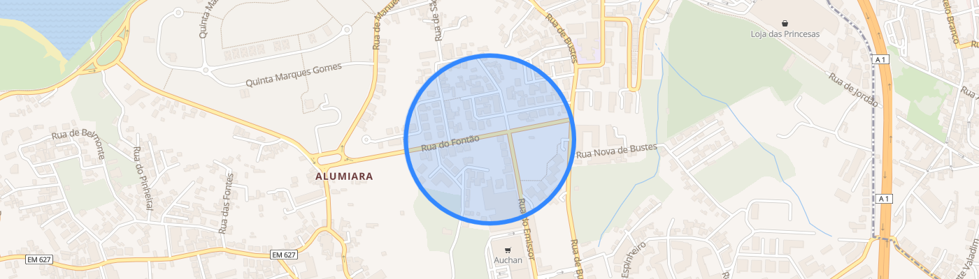 listing-map-picture