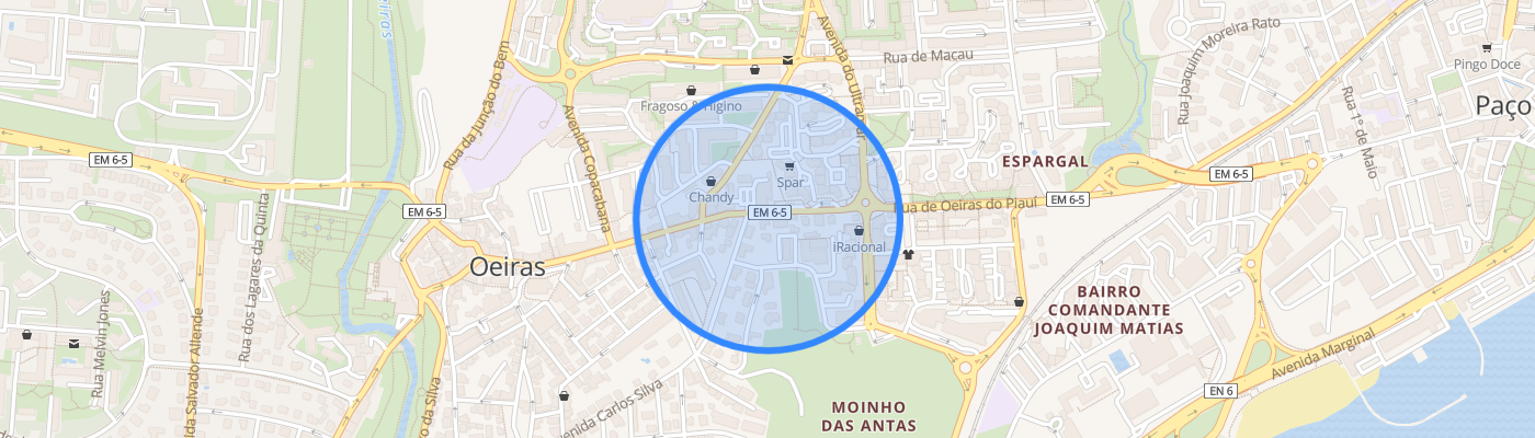 listing-map-picture
