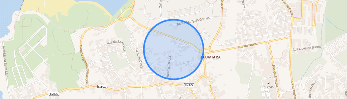 listing-map-picture