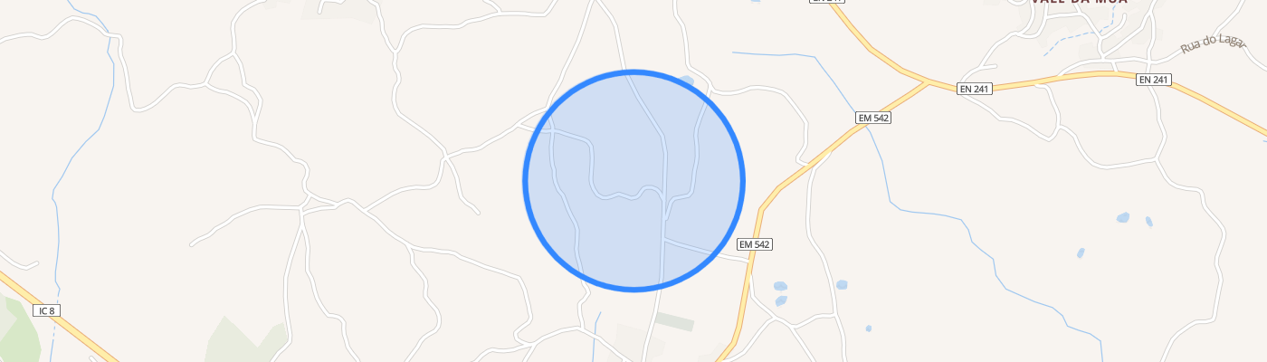 listing-map-picture