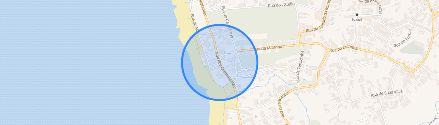 listing-map-picture