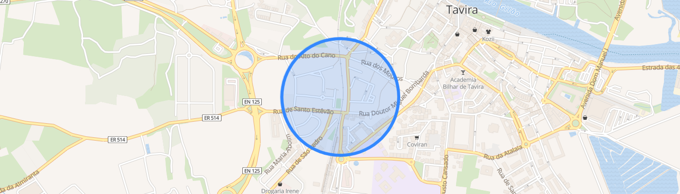 listing-map-picture