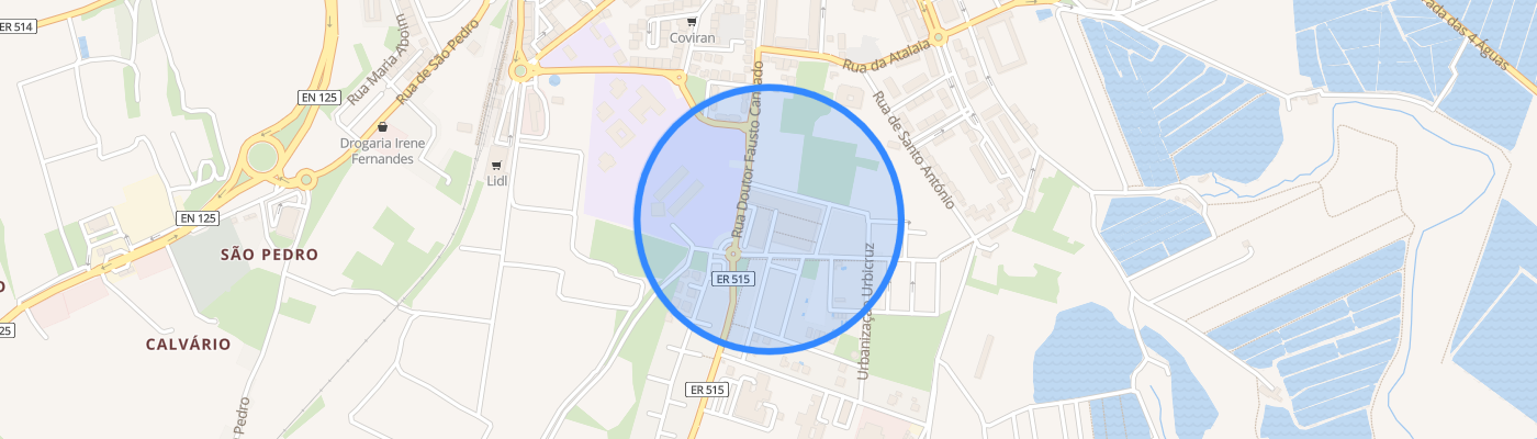listing-map-picture