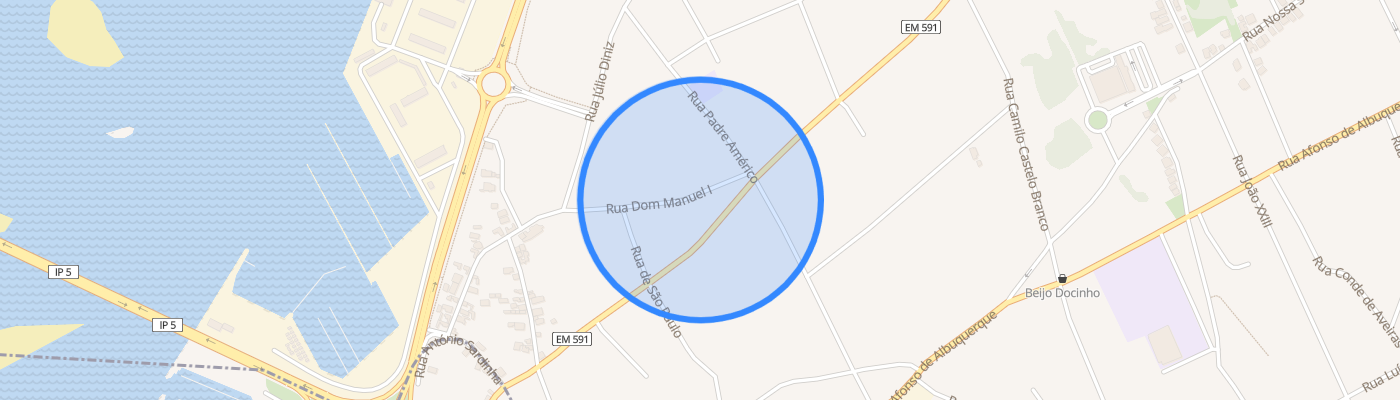 listing-map-picture