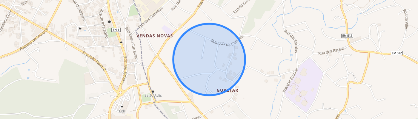 listing-map-picture