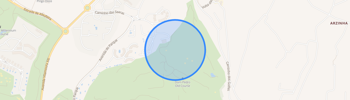 listing-map-picture