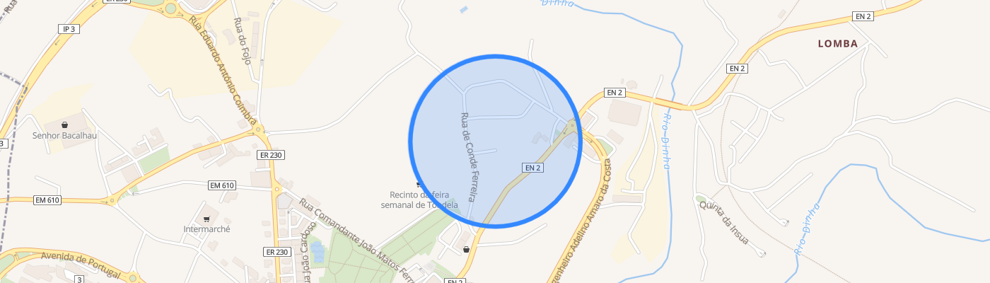 listing-map-picture