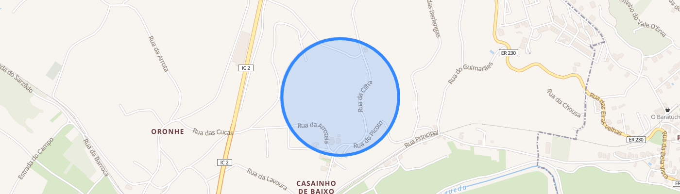 listing-map-picture