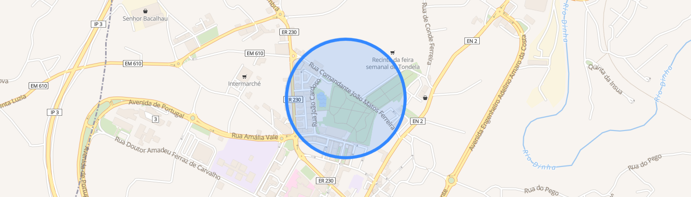 listing-map-picture