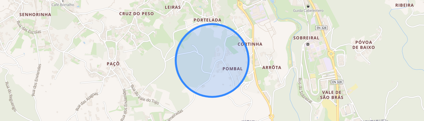 listing-map-picture