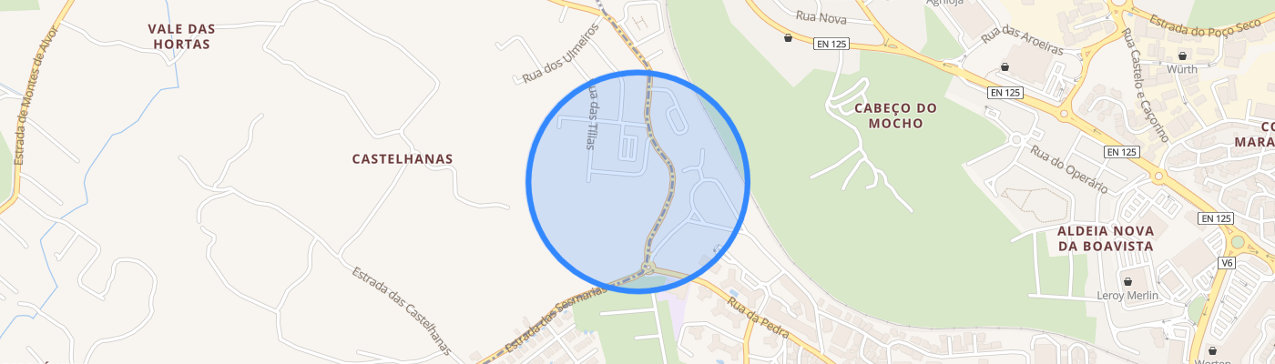 listing-map-picture