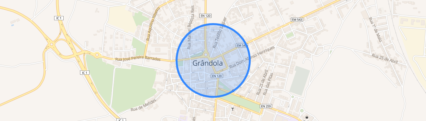 listing-map-picture