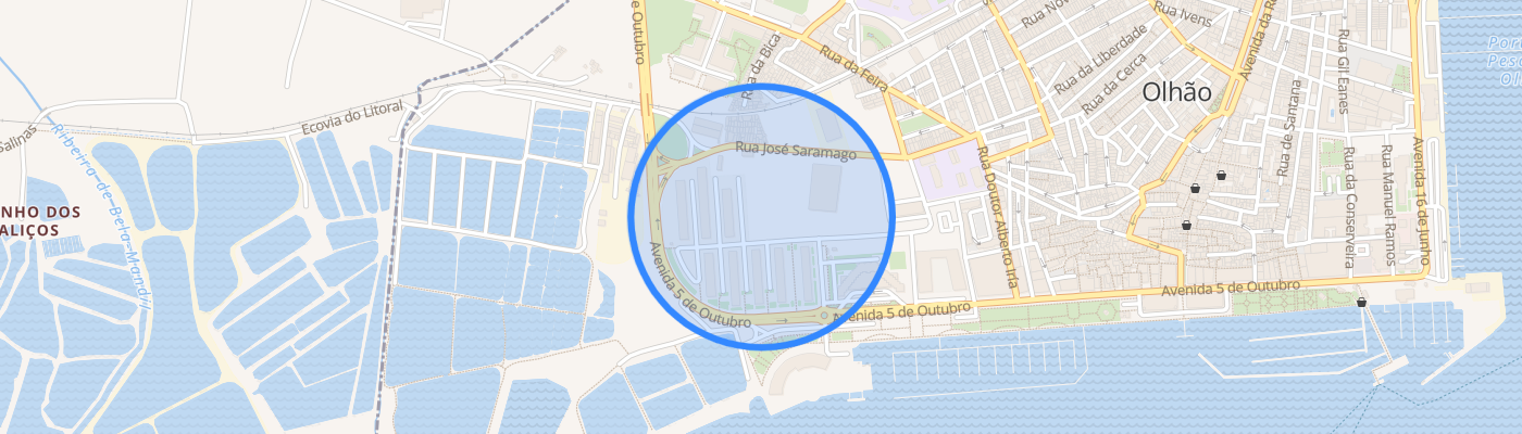 listing-map-picture