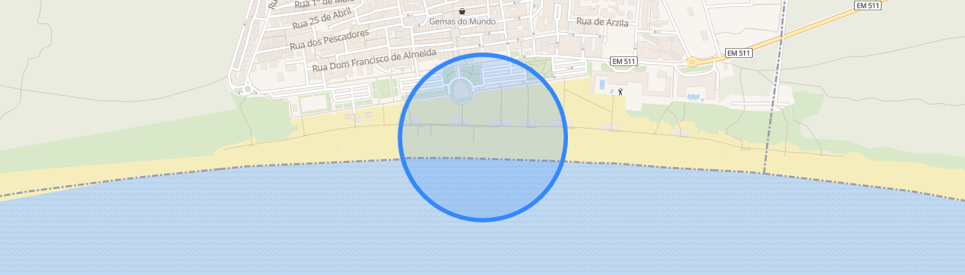 listing-map-picture