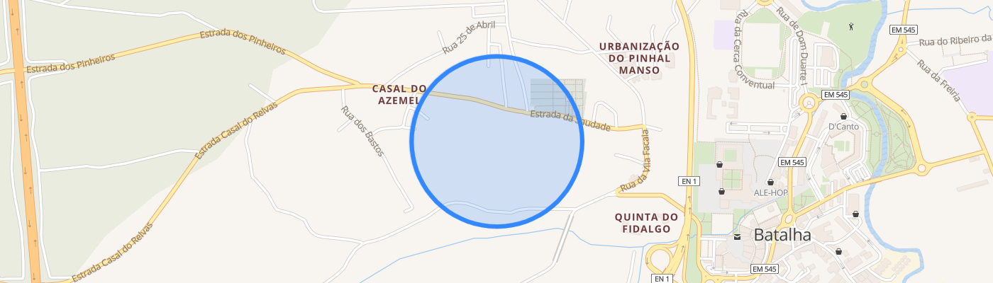 listing-map-picture