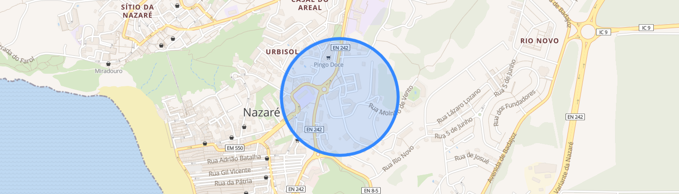 listing-map-picture