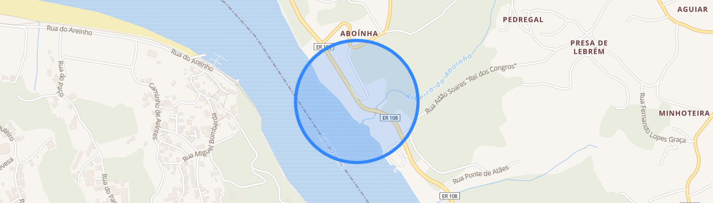 listing-map-picture