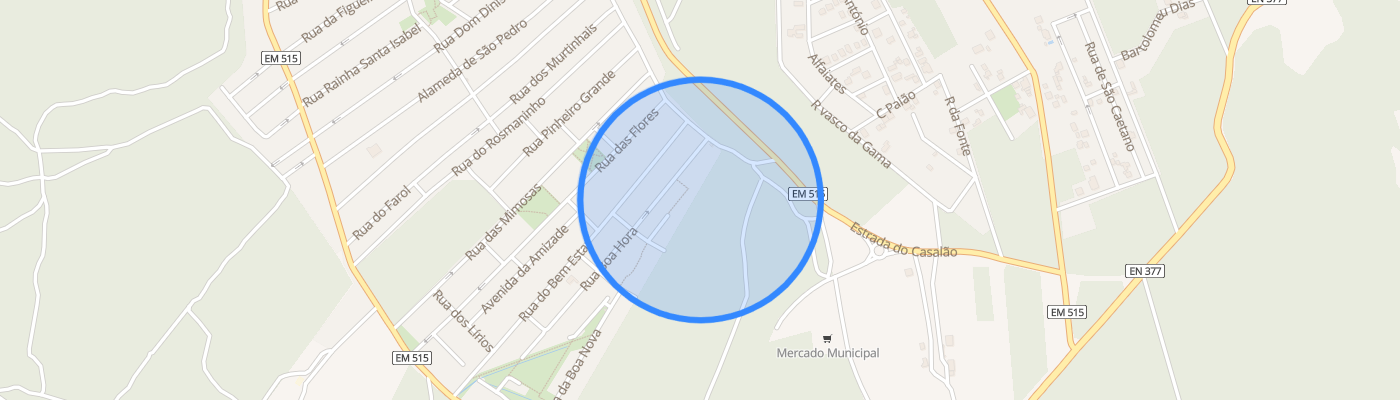 listing-map-picture