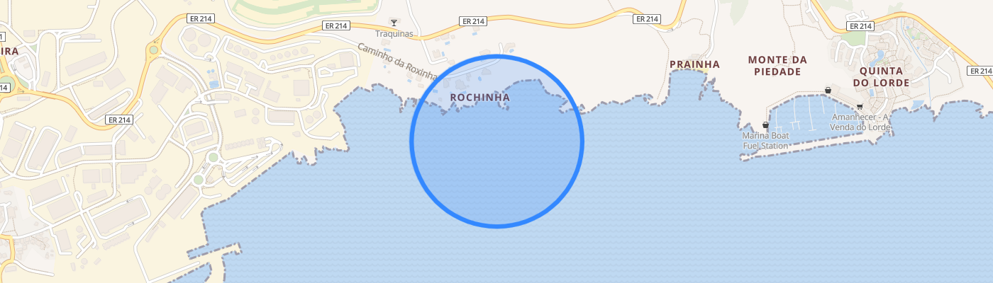 listing-map-picture