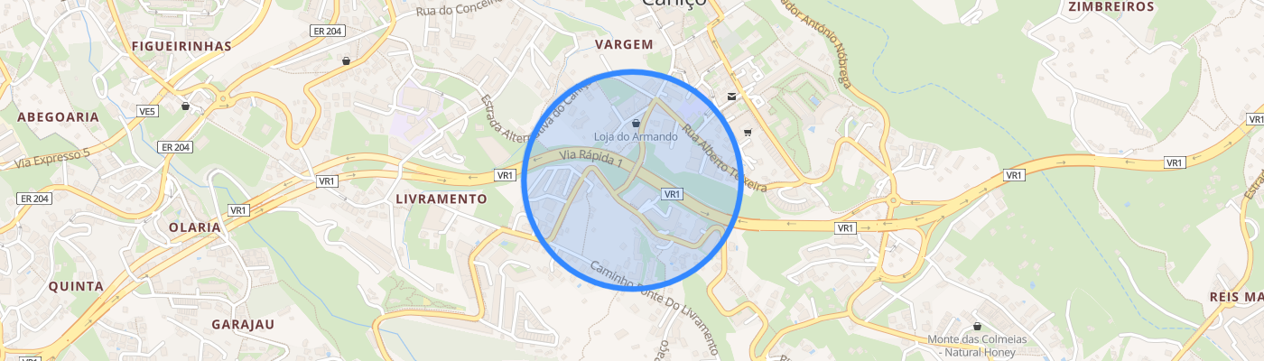 listing-map-picture