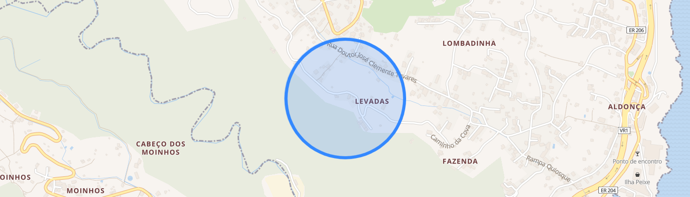 listing-map-picture