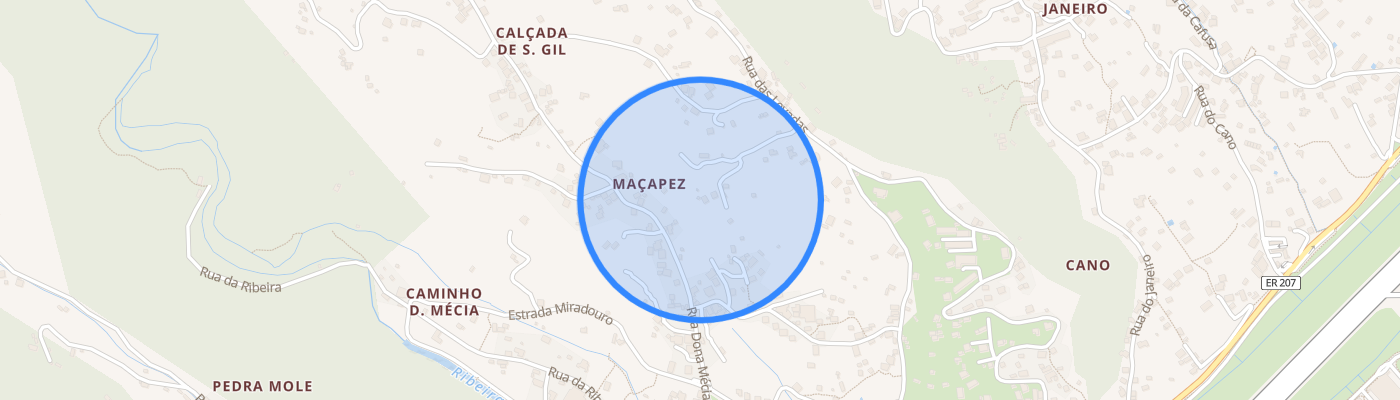 listing-map-picture