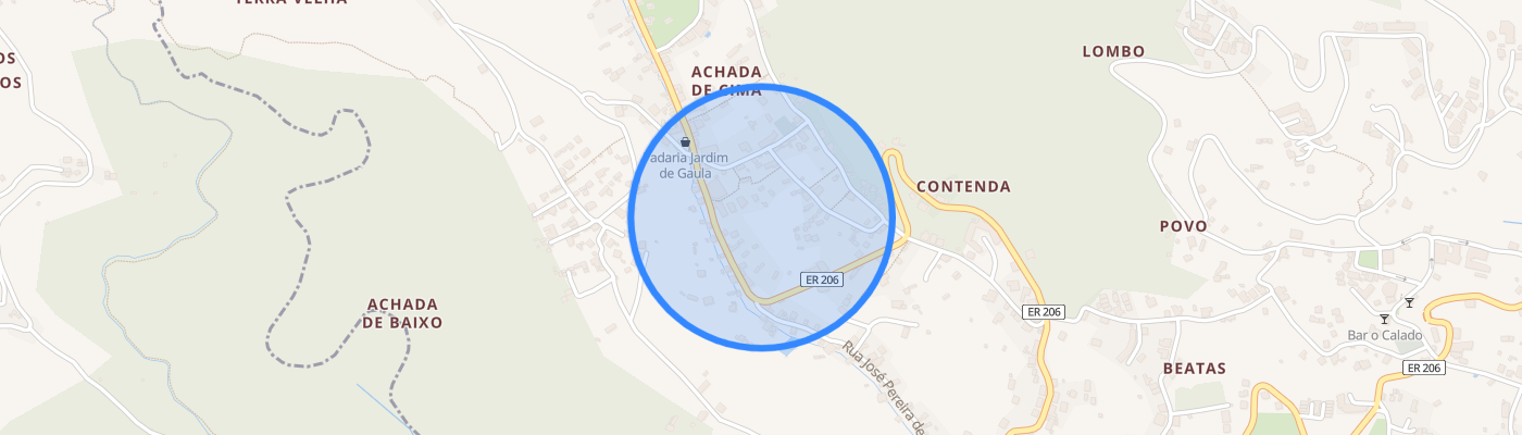 listing-map-picture