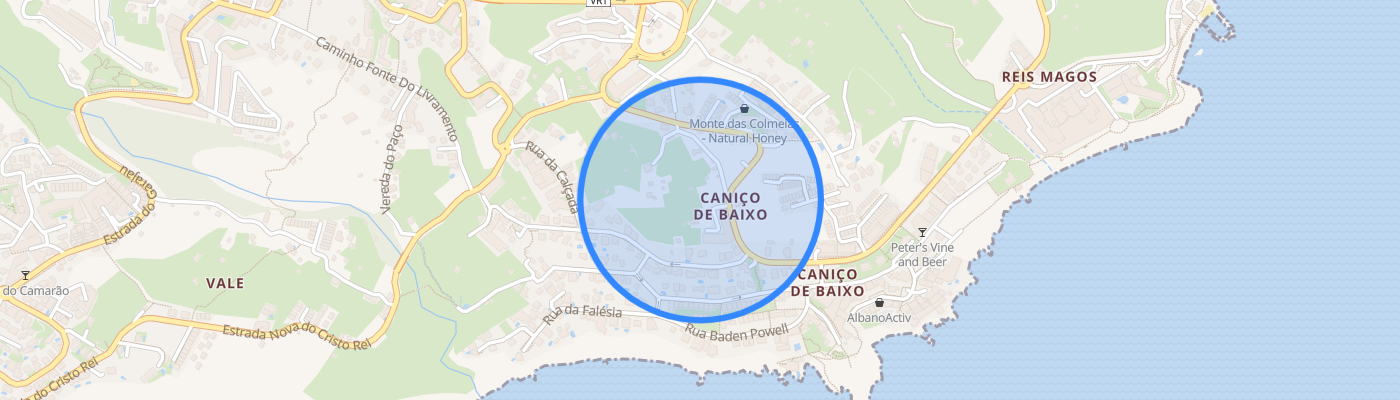 listing-map-picture