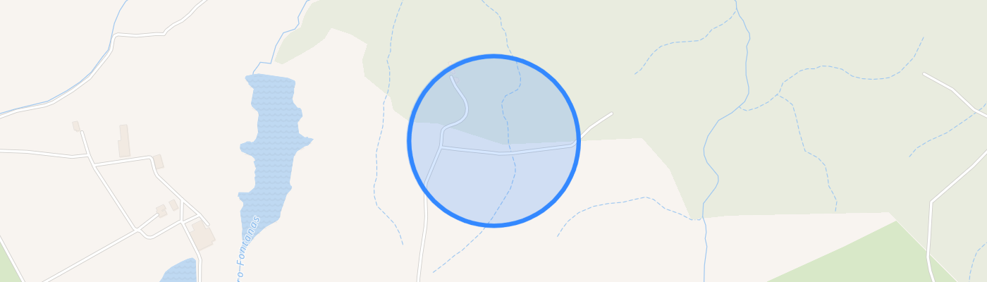 listing-map-picture