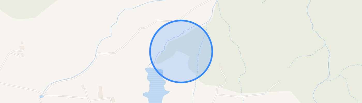 listing-map-picture