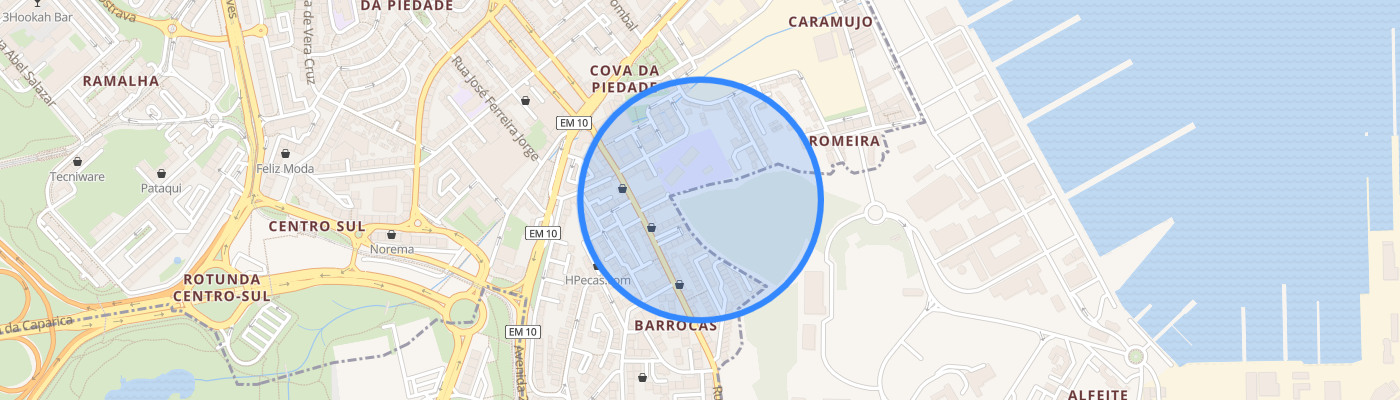 listing-map-picture