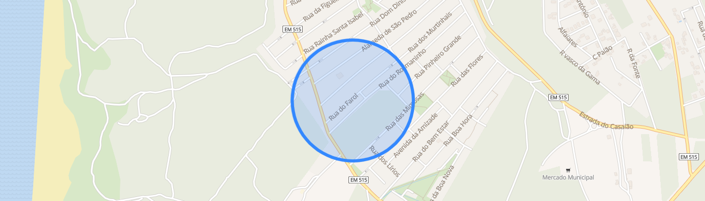 listing-map-picture