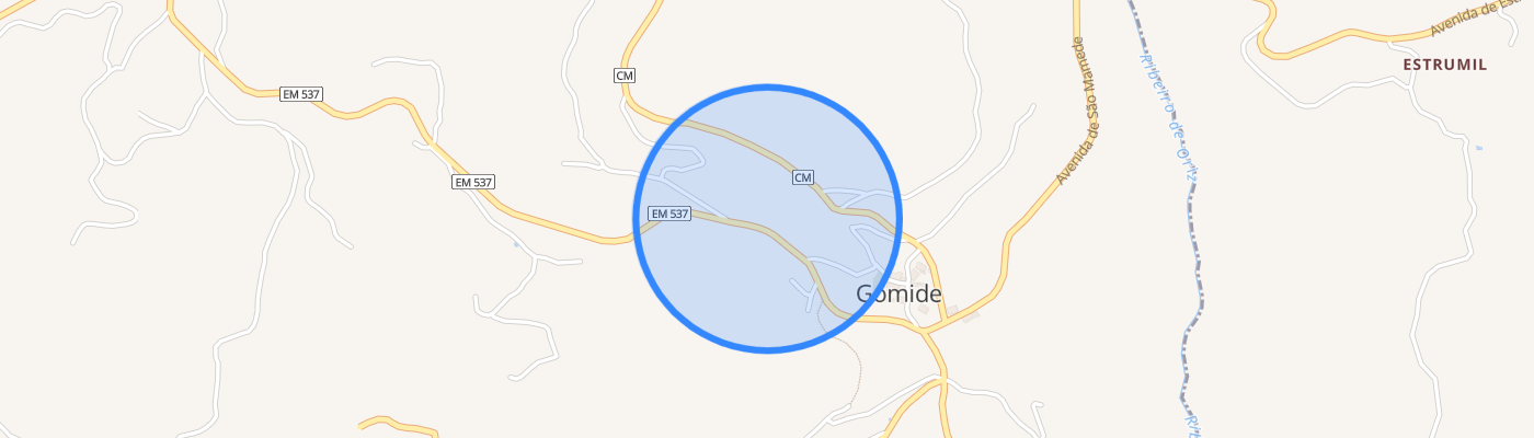 listing-map-picture