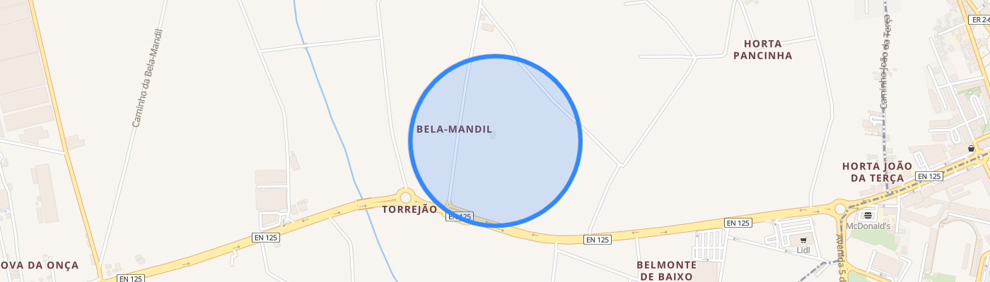 listing-map-picture