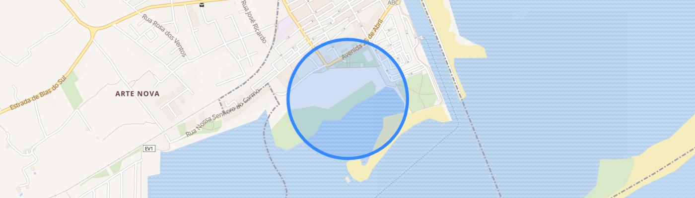 listing-map-picture