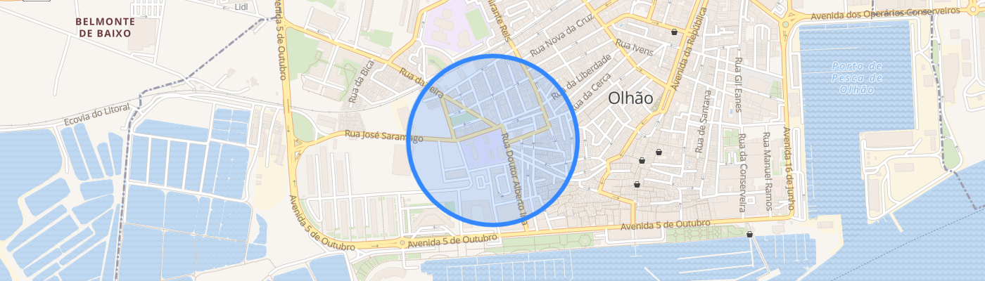 listing-map-picture