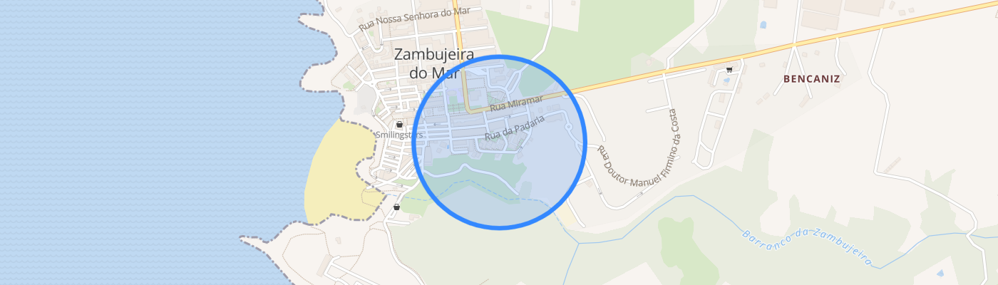 listing-map-picture