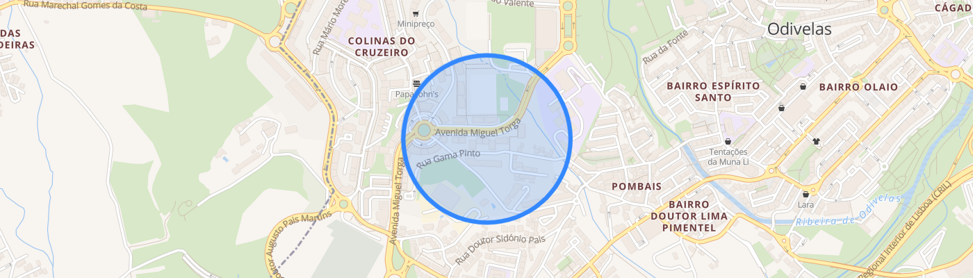 listing-map-picture