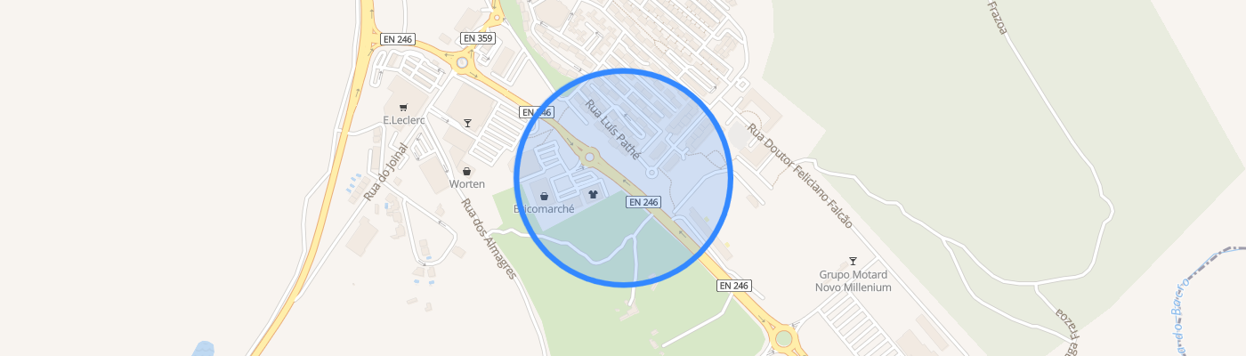 listing-map-picture