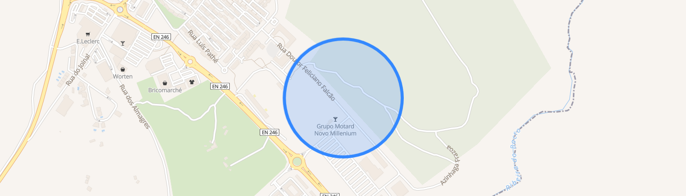 listing-map-picture