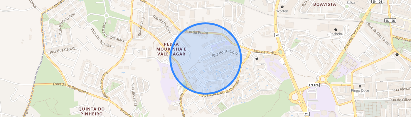 listing-map-picture