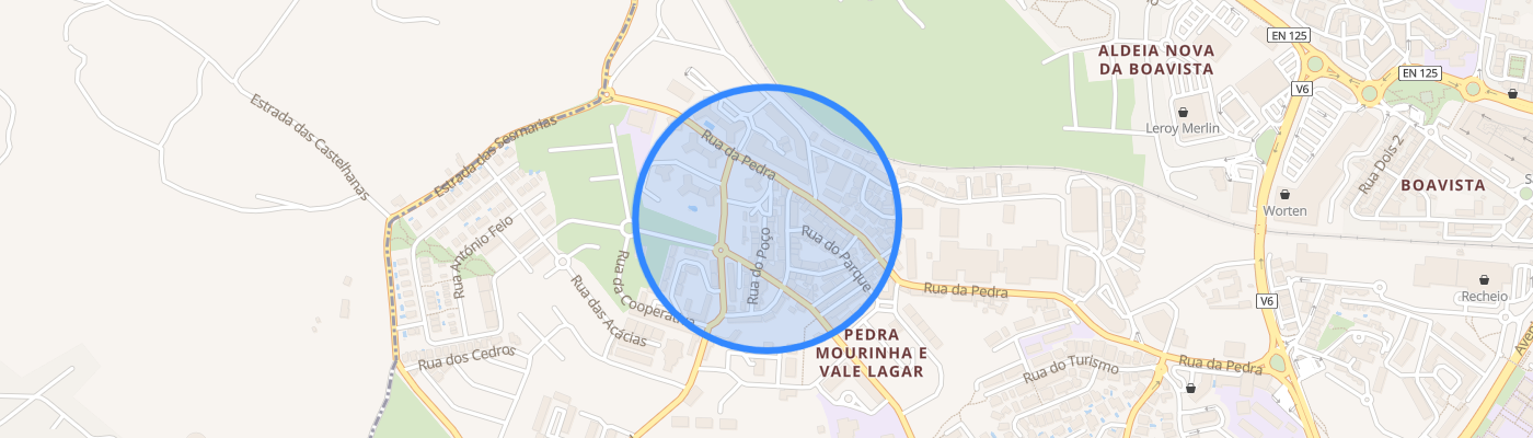 listing-map-picture